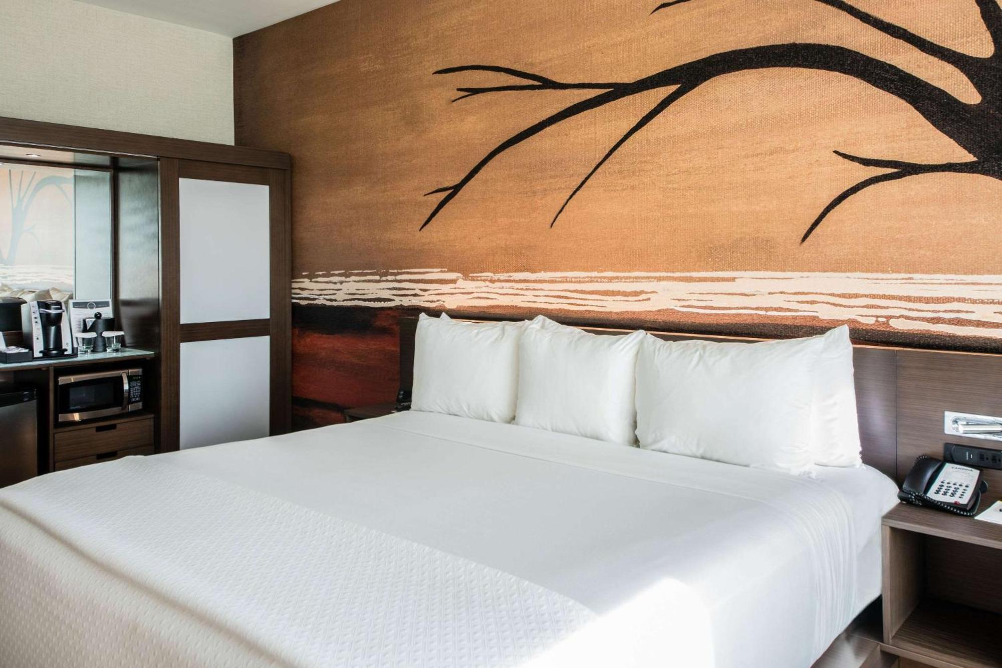 แคมเบรีย โฮเต็ล แมกอัลเลน คอนเวนชั่น เซ็นเตอร์ Hotel แมคคัลเลน ภายนอก รูปภาพ